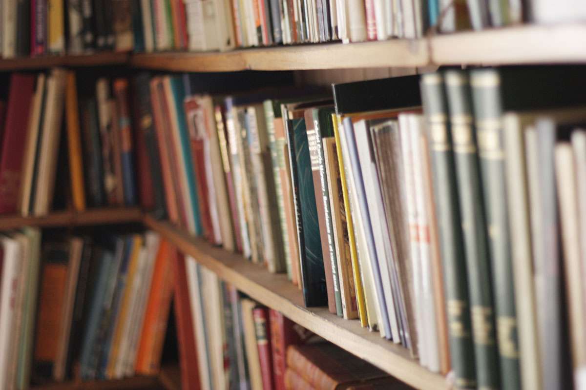 cómo buscar bibliografía para tfg